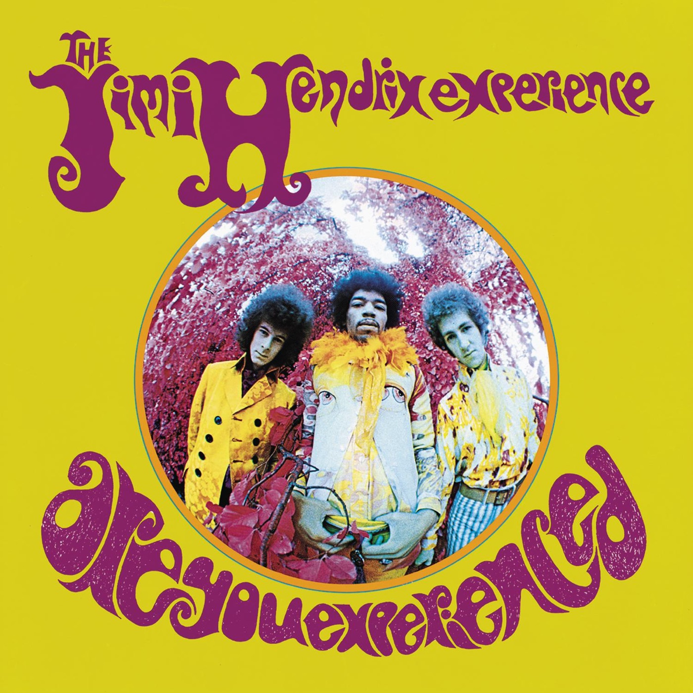 The Jimi Hendrix Experience – Are You Experienced (Deluxe Version)(884977413885)【16bit／44.1kHz】土耳其区-OppsUnote音乐广场