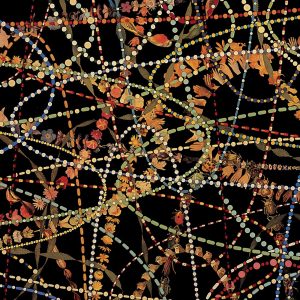 The Magnetic Fields – I Thought You Were My Boyfriend – EP(075597984460)【16bit／44.1kHz】土耳其区-OppsUnote音乐广场