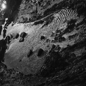 Four Tet – Scientists – Single(3663729032621)【24bit／44.1kHz】土耳其区-OppsUnote音乐广场