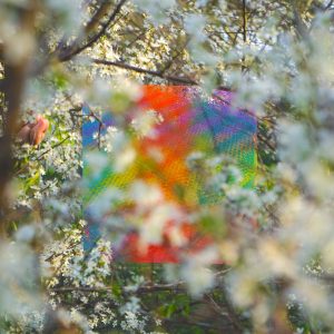 Four Tet – Teenage Birdsong – Single(3663729082800)【24bit／44.1kHz】土耳其区-OppsUnote音乐广场