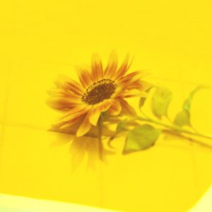 Vaundy – 花占い – Single(197189907494)【24bit／48.0kHz】日本区-OppsUnote音乐广场