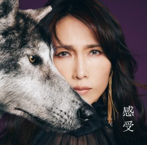 工藤静香 – 感受 -Shizuka Kudo 35th Anniversary self-cover album(4524135008213)【24bit／96.0kHz】日本区-OppsUnote音乐广场