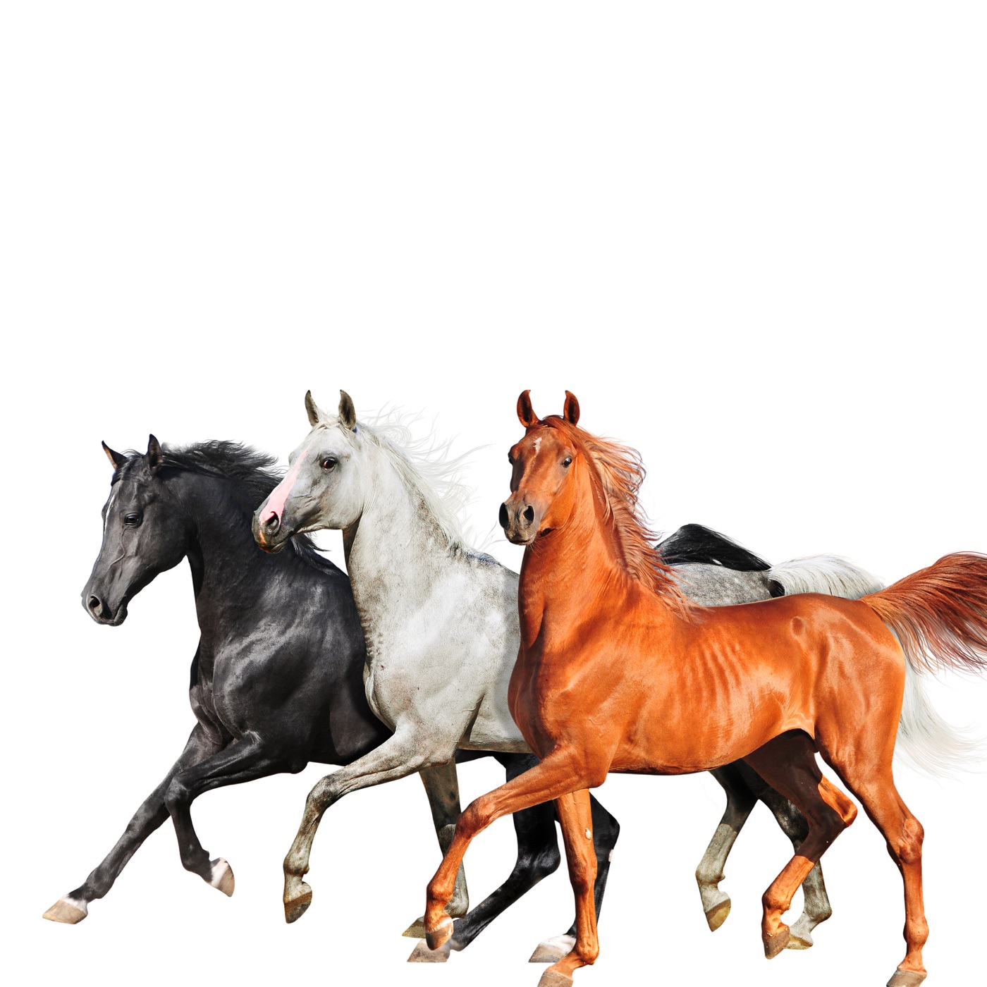 Lil Nas X – Old Town Road (Diplo Remix) – Single(886447683781)【16bit／44.1kHz】美国区-OppsUnote音乐广场