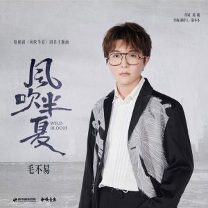 毛不易 – 风吹半夏 (电视剧《风吹半夏》主题曲) – Single(4711099711888)【24bit／48.0kHz】香港区-OppsUnote音乐广场