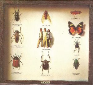 草蜢 – 音乐昆虫(00731452621627)【16bit／44.1kHz】香港区-OppsUnote音乐广场