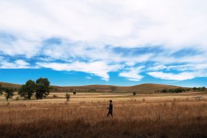 李健 – 依然(825646234288)【16bit／44.1kHz】澳门区-OppsUnote音乐广场