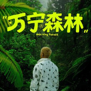 盛宇 – 万宁森林 (feat. NINEONE赵馨玥) – Single(193017142884)【24bit／48.0kHz】香港区-OppsUnote音乐广场