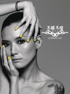 卢巧音 – 不能不爱…卢巧音精选(888880265821)【16bit／44.1kHz】香港区-OppsUnote音乐广场