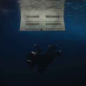 Billie Eilish – HIT ME HARD AND SOFT(00602465638714)【24bit／44.1kHz】美国区-OppsUnote音乐广场