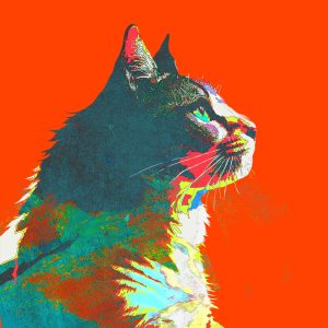 米津玄師 – 毎日 – Every Day – Single(4547366686784)【24bit／48.0kHz】日本区-OppsUnote音乐广场