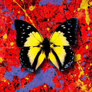 Ed Sheeran – 2step (feat. 1.Cuz) – SingleⒺ(5054197163463)【24bit／44.1kHz】美国区-OppsUnote音乐广场