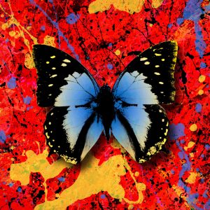 Ed Sheeran – 2step (feat. Antytila) – Single(5054197163555)【24bit／44.1kHz】美国区-OppsUnote音乐广场