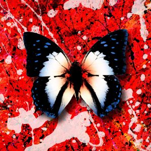 Ed Sheeran – 2step (feat. Budjerah) – Single(5054197163562)【24bit／44.1kHz】美国区-OppsUnote音乐广场