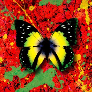 Ed Sheeran – 2step (feat. Chefin) – Single(5054197163548)【24bit／44.1kHz】美国区-OppsUnote音乐广场