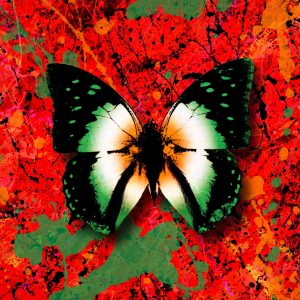 Ed Sheeran – 2step (feat. Denise Chaila) – Single(5054197164316)【24bit／44.1kHz】美国区-OppsUnote音乐广场