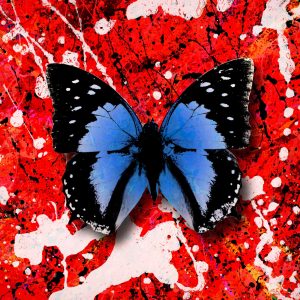 Ed Sheeran – 2step (feat. Ellinoora) – Single(5054197163470)【24bit／44.1kHz】美国区-OppsUnote音乐广场