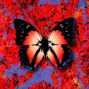 Ed Sheeran – 2step (feat. Leto) – Single(5054197163487)【24bit／44.1kHz】美国区-OppsUnote音乐广场