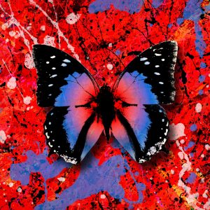 Ed Sheeran – 2step (feat. Potter Payper) – Single(5054197163579)【24bit／44.1kHz】美国区-OppsUnote音乐广场