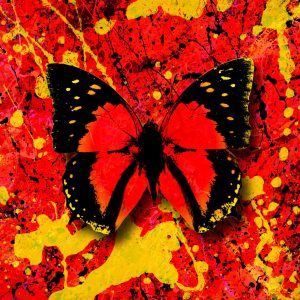 Ed Sheeran – 2step (feat. Quevedo) – Single(5054197163494)【24bit／44.1kHz】美国区-OppsUnote音乐广场