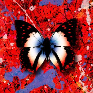 Ed Sheeran – 2step (The Remixes)Ⓔ(5054197173851)【24bit／44.1kHz】美国区-OppsUnote音乐广场