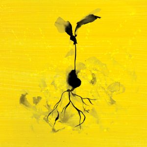 Ed Sheeran – Life Goes On (feat. Luke Combs) – Single(5054197677786)【24bit／48.0kHz】美国区-OppsUnote音乐广场