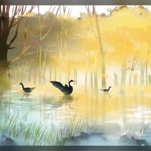 韩宝仪 – 韩宝仪专辑12首 Vol.2(4894944188957)【16bit／44.1kHz】台湾区-OppsUnote音乐广场