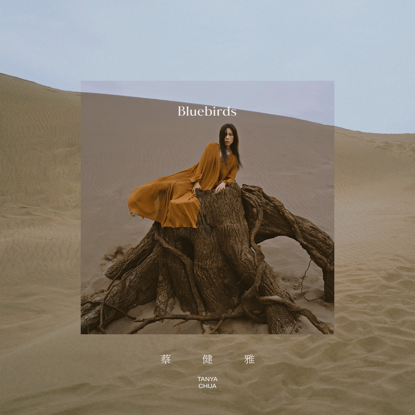 蔡健雅 – Bluebirds – Single(00602438592074)【24bit／48.0kHz】台湾区-OppsUnote音乐广场