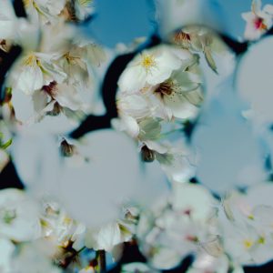 星野源 – 喜剧 – Single(4573224106767)【24bit／48.0kHz】日本区-OppsUnote音乐广场