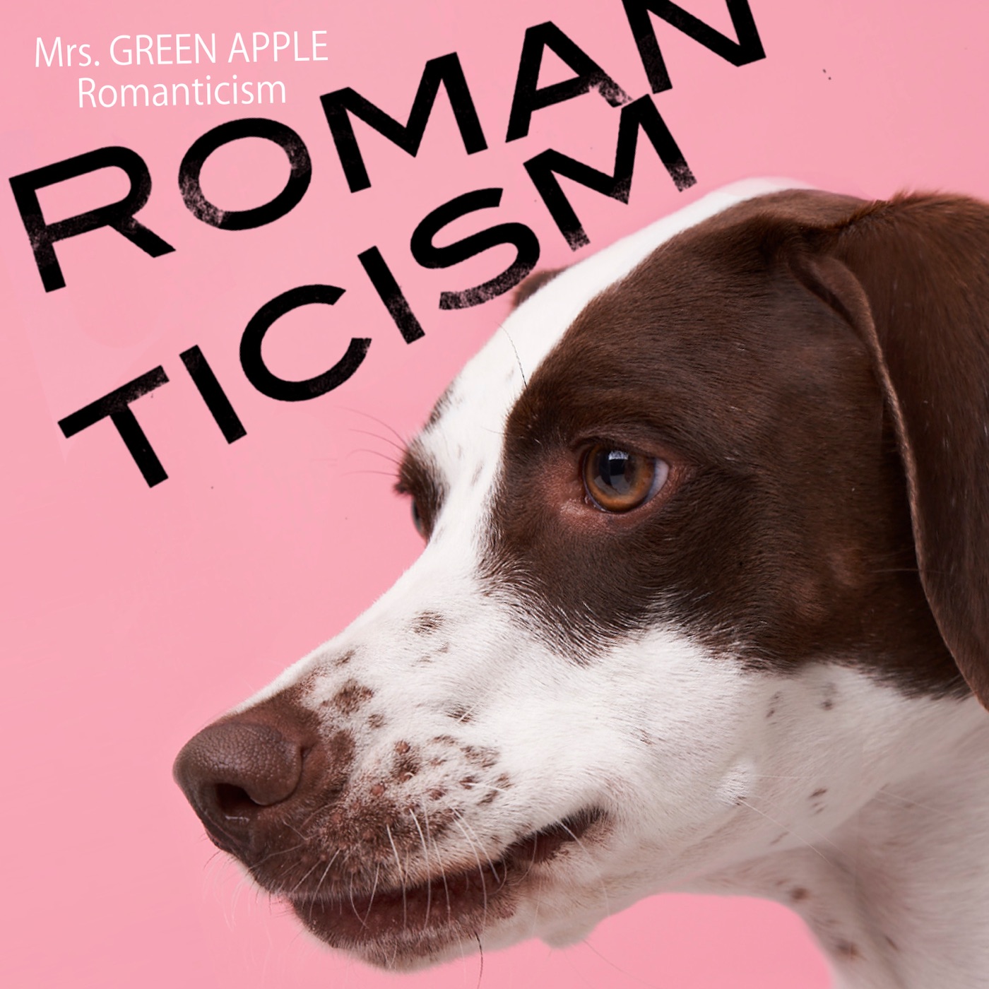 Mrs. GREEN APPLE – ロマンチシズム – EP(00602577530128)【16bit／44.1kHz】日本区-OppsUnote音乐广场