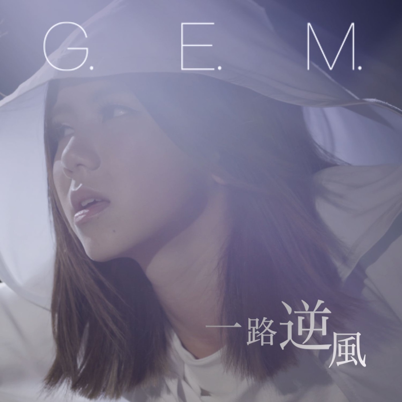 邓紫棋 – 一路逆风 – Single(889845828587)【24bit／44.1kHz】台湾区-OppsUnote音乐广场