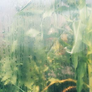 Maria Somerville – All My People – Single(0724165464391)【16bit／44.1kHz】土耳其区-OppsUnote音乐广场