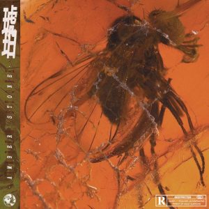 GALI – 琥珀 – SingleⒺ(3616409650080)【16bit／44.1kHz】台湾区-OppsUnote音乐广场