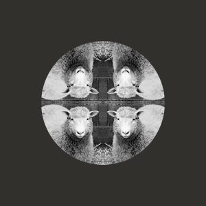 Ice Paper – 一个样 – SingleⒺ(6941636741865)【24bit／48.0kHz】台湾区-OppsUnote音乐广场