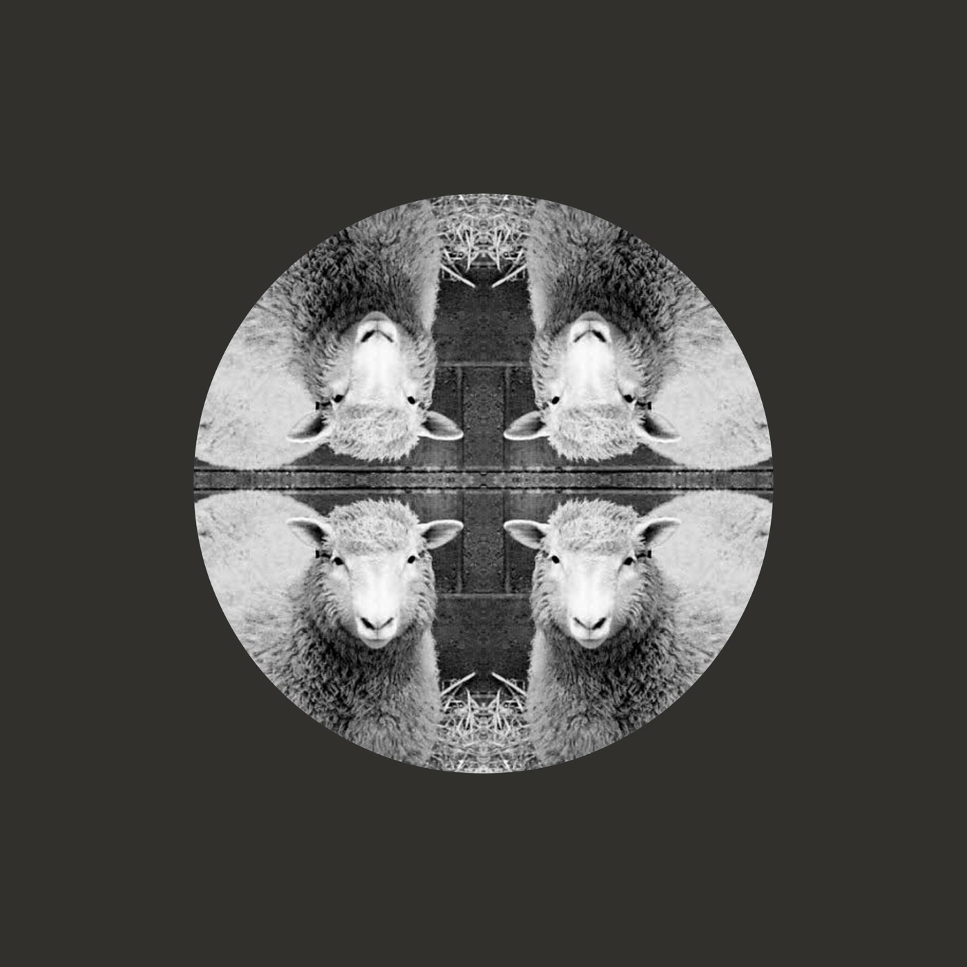Ice Paper – 一个样 – SingleⒺ(6941636741865)【24bit／48.0kHz】台湾区-OppsUnote音乐广场