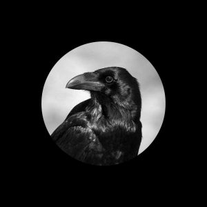 Ice Paper – 成语接龙Ⓔ(6941636741964)【16bit／44.1kHz】台湾区-OppsUnote音乐广场