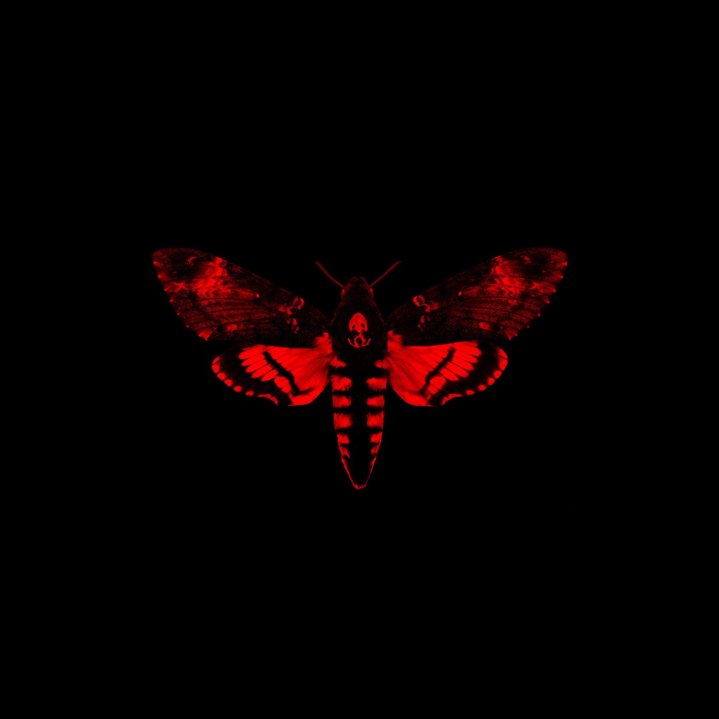 Lil Wayne – I Am Not a Human Being II(00602537366354)【16bit／44.1kHz】土耳其区-OppsUnote音乐广场