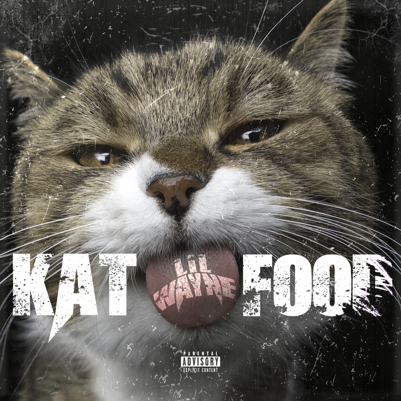 Lil Wayne – Kat Food – SingleⒺ(00602458421941)【24bit／44.1kHz】土耳其区-OppsUnote音乐广场