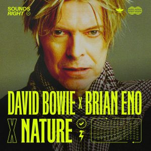 David Bowie – Get Real – Sounds Right Mix (feat. NATURE) – Single(7799192004226)【16bit／44.1kHz】土耳其区-OppsUnote音乐广场