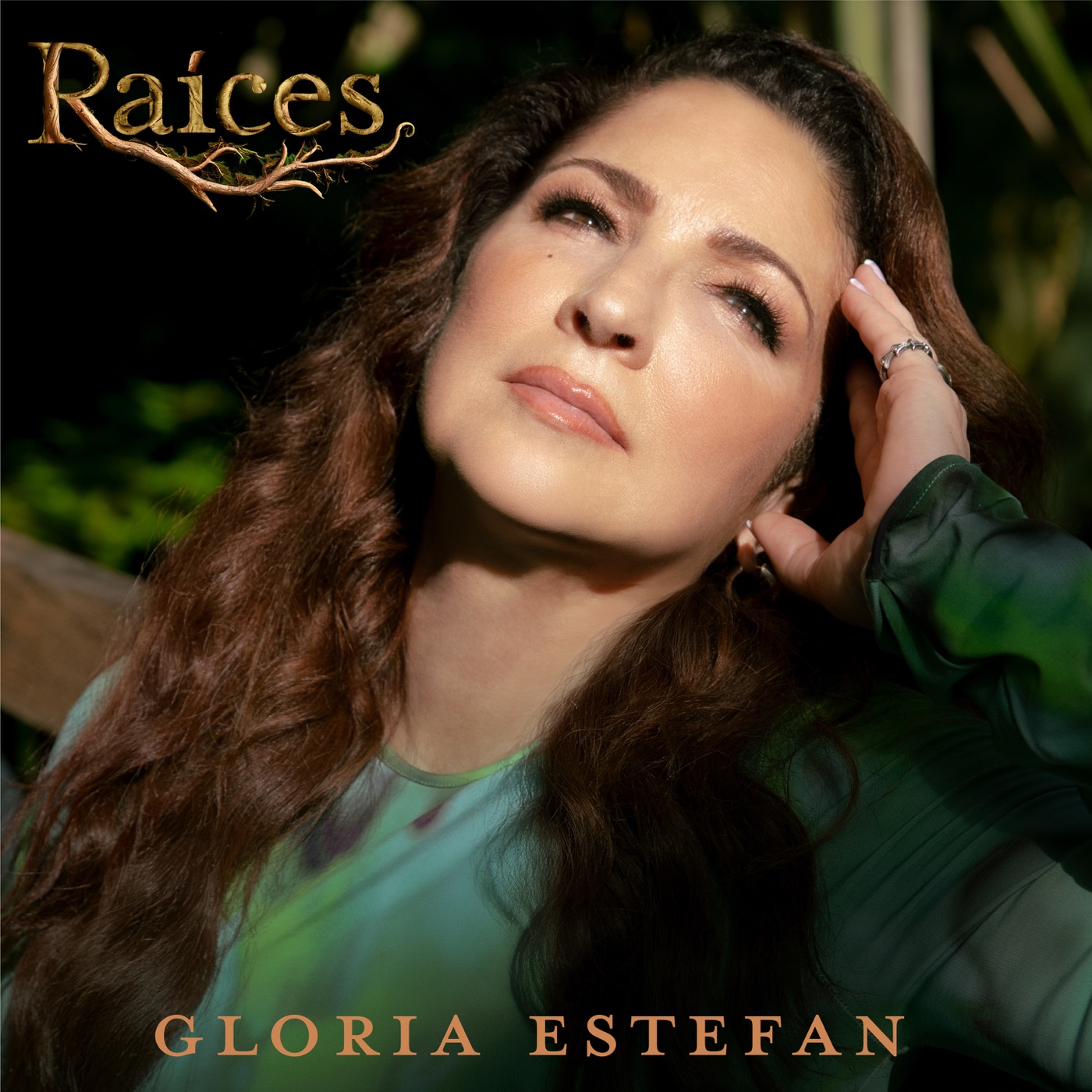 Gloria Estefan – Raíces – Single(196872970166)【24bit／48.0kHz】土耳其区-OppsUnote音乐广场