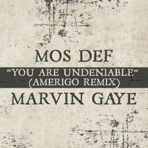 Marvin Gaye – You Are Undeniable (Amerigo Remix) – Single(00602547012951)【16bit／44.1kHz】美国区-OppsUnote音乐广场