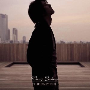 王力宏 – The Only One(4716331853128)【24bit／44.1kHz】台湾区-OppsUnote音乐广场