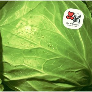 DREAMS COME TRUE – 何度でも – Single(00044002558015)【16bit／44.1kHz】日本区-OppsUnote音乐广场