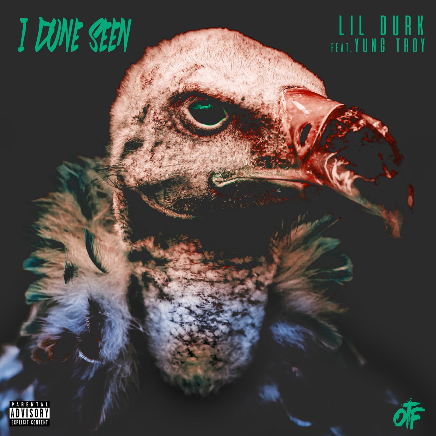 图片[1]-Lil Durk – I Done Seen (feat. Yung Tory) – SingleⒺ(888915417034)【16bit／44.1kHz】土耳其区-OppsUnote音乐广场