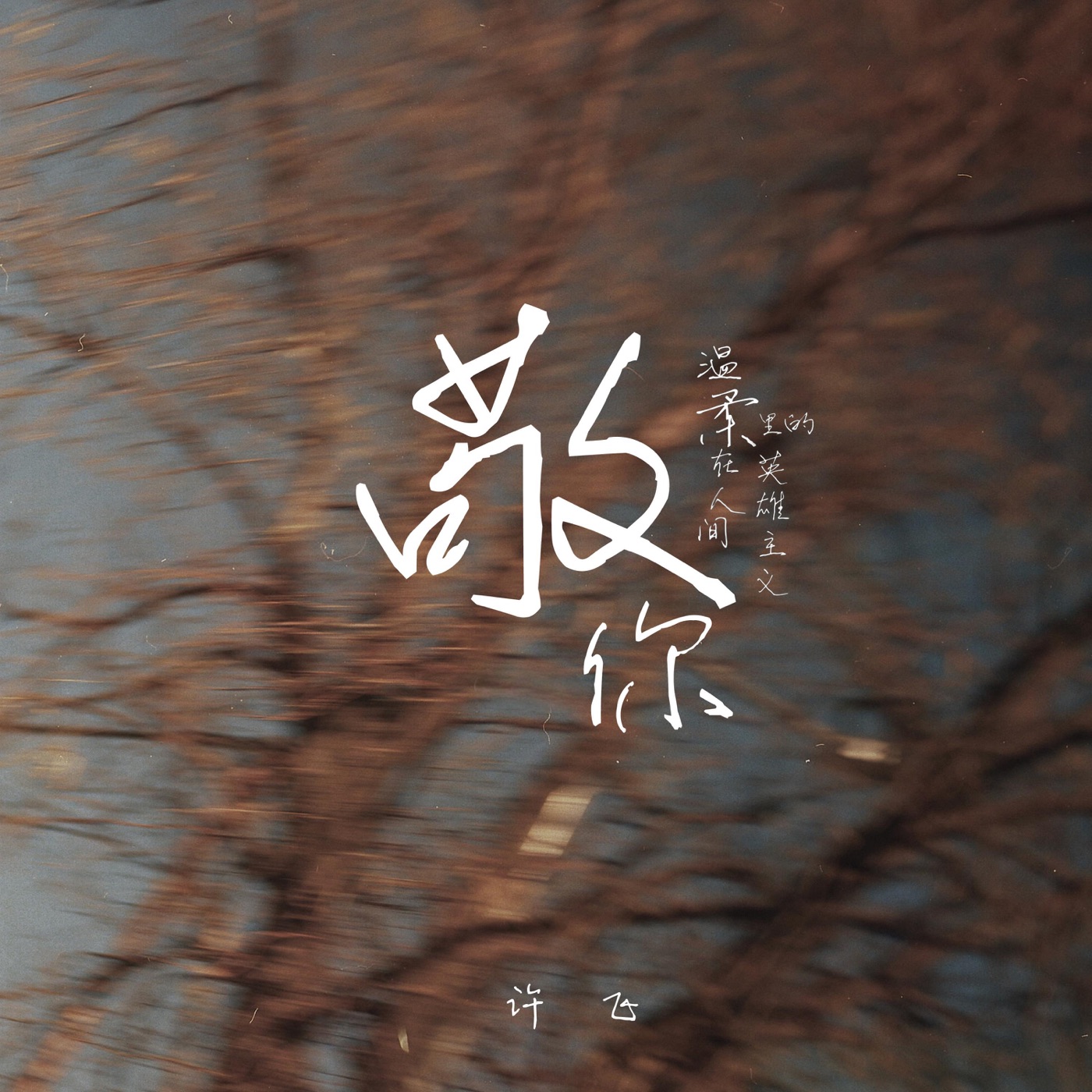 图片[1]-许飞 – 敬你 – Single(4894965391411)【24bit／44.1kHz】台湾区-OppsUnote音乐广场