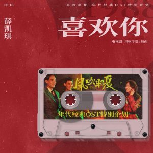 薛凯琪 – 喜欢你 (《风吹半夏》年代经典OST特别企划) – Single(4711099712502)【24bit／48.0kHz】香港区-OppsUnote音乐广场