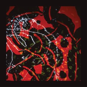 Brian Eno – Nerve Net(0801061303013)【16bit／44.1kHz】印度区-OppsUnote音乐广场