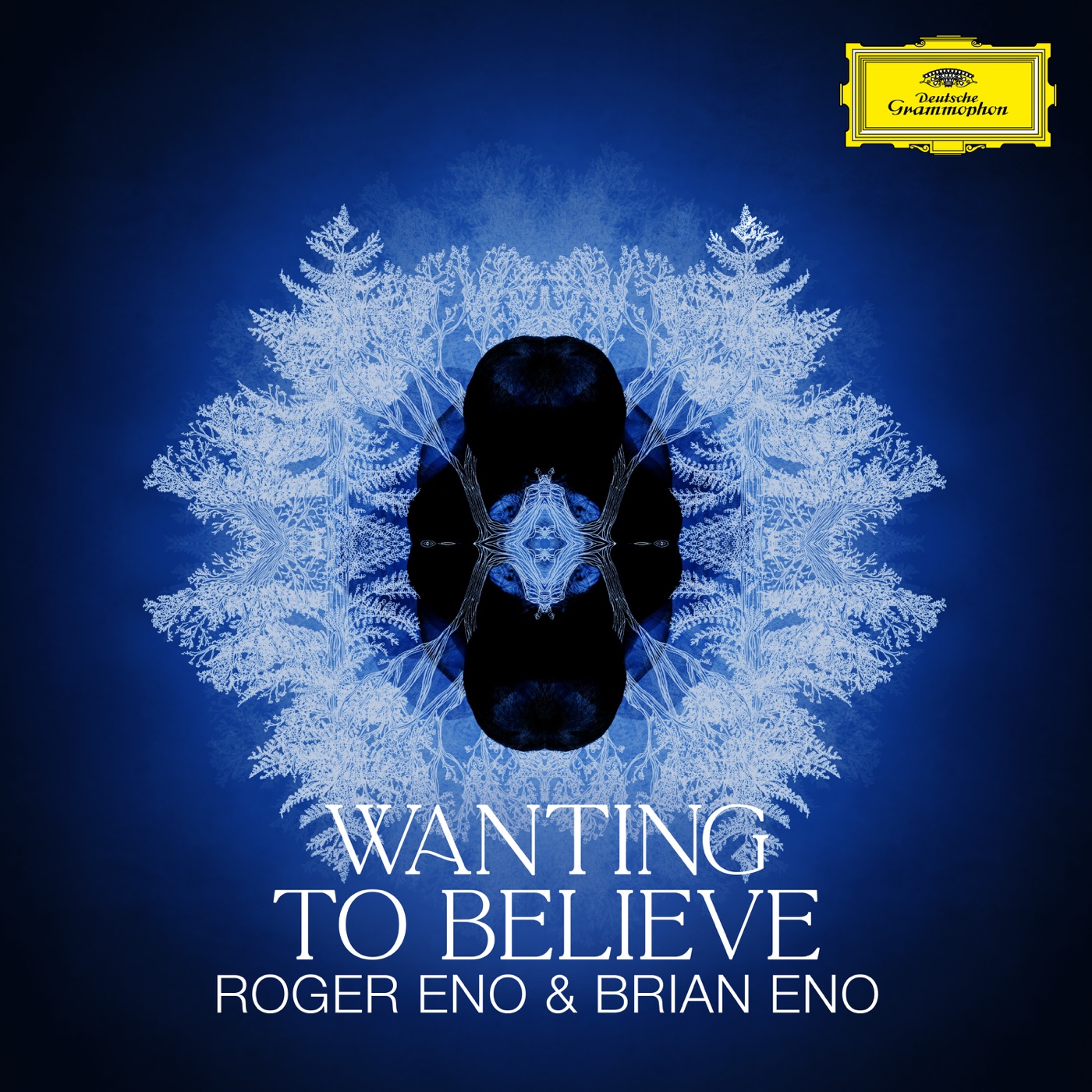图片[1]-Brian Eno – Wanting To Believe (Oh Holy Night) – Single(00028948618590)【24bit／96.0kHz】印度区-OppsUnote音乐广场
