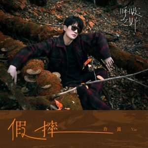 许嵩 – 假摔 – Single(6941636707717)【16bit／44.1kHz】香港区-OppsUnote音乐广场