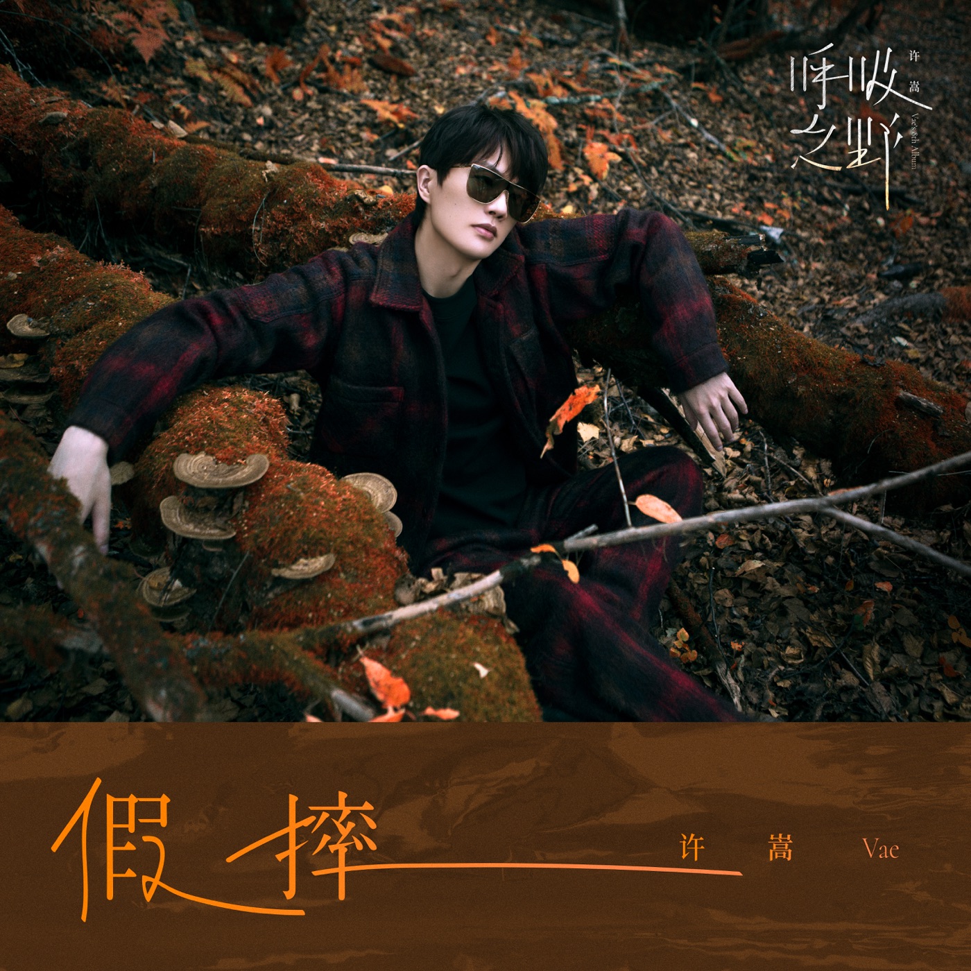 许嵩 - 假摔 - Single(6941636707717)【16bit／44.1kHz】香港区-OppsUnote音乐广场