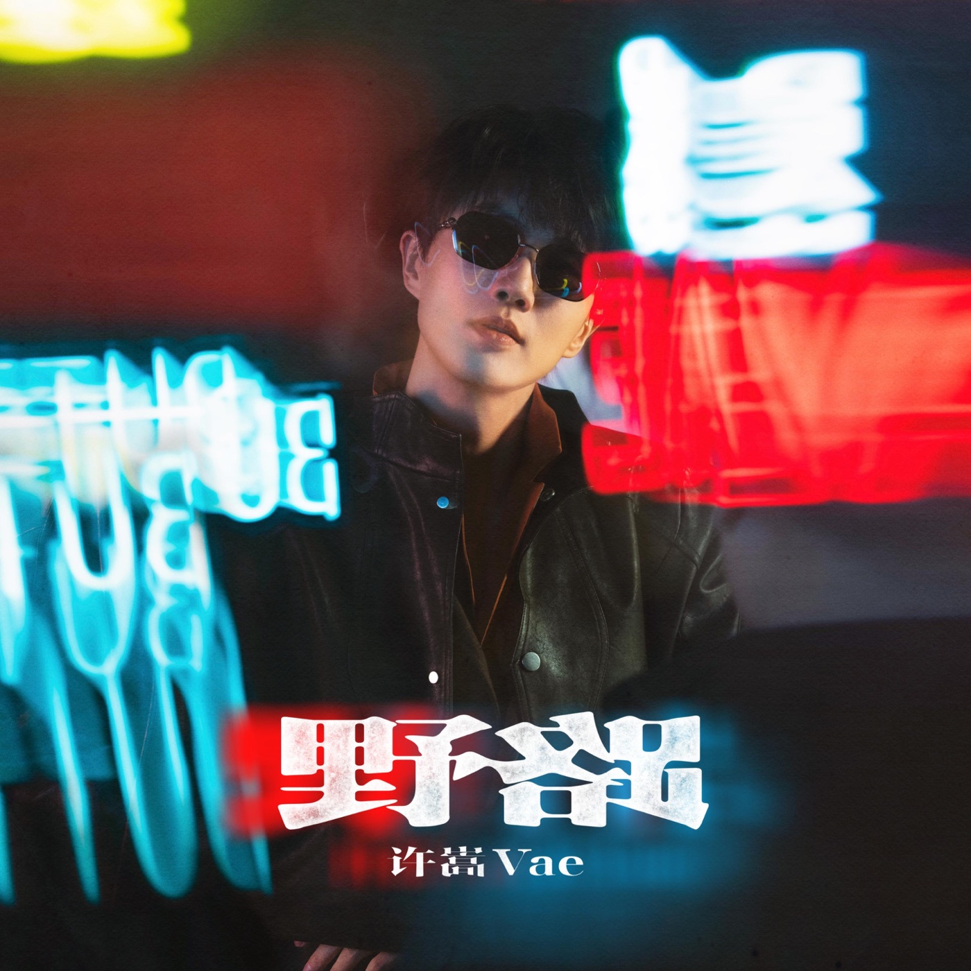 许嵩 – 野路 – Single(6937451235009)【24bit／48.0kHz】香港区-OppsUnote音乐广场